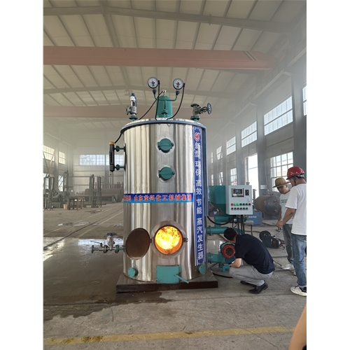 生物質蒸汽發生器